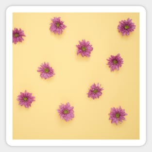 Pink Daisy Flower Lot Sticker